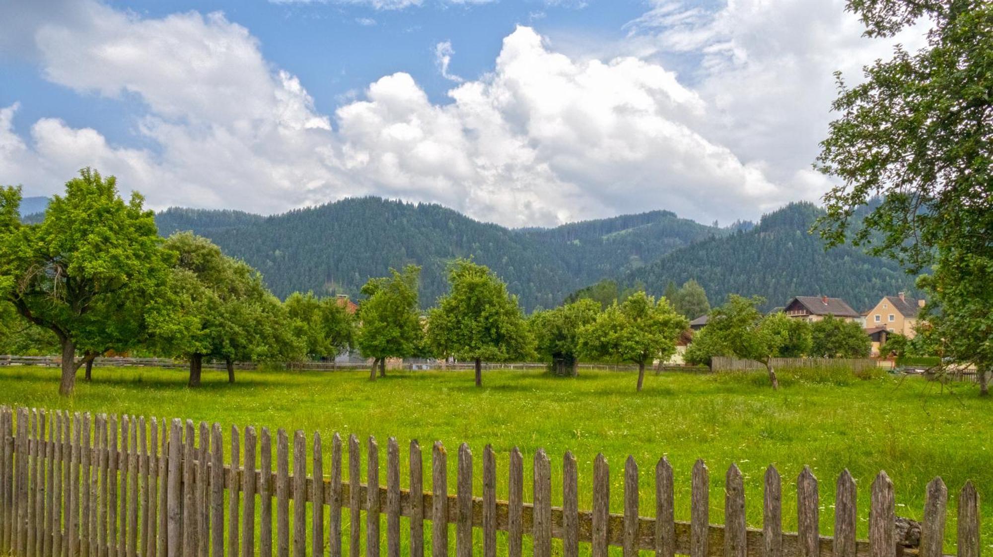 Flat Bull Appartement Mit Garten Sankt Lorenzen bei Knittelfeld Εξωτερικό φωτογραφία